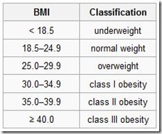 BMI Scale