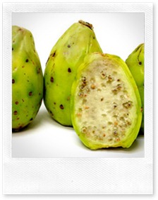 Green Cactus Pear